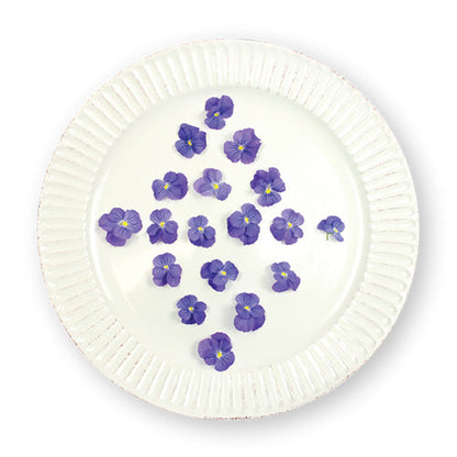 Wholesale Flavour Fields Viola Blossoms- Bulk