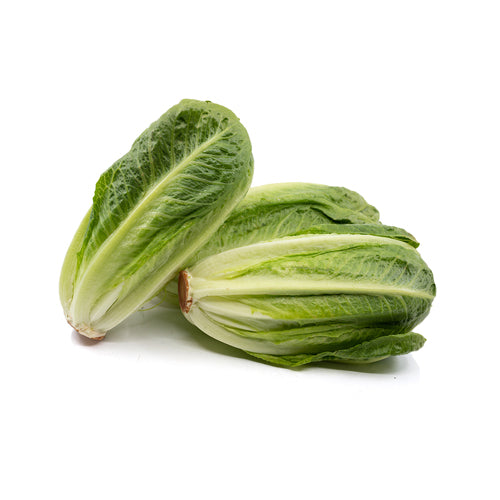 Wholesale Mann's Romacrunch Lettuce- Bulk
