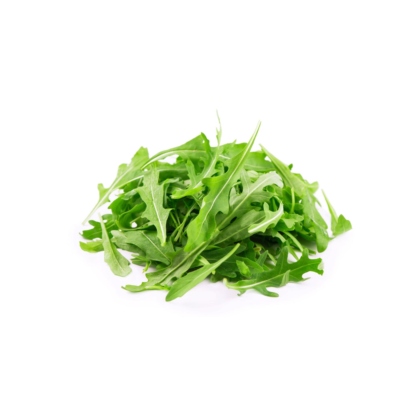 Wholesale Dix Farms Organic Arugula Greens 2lb- Bulk