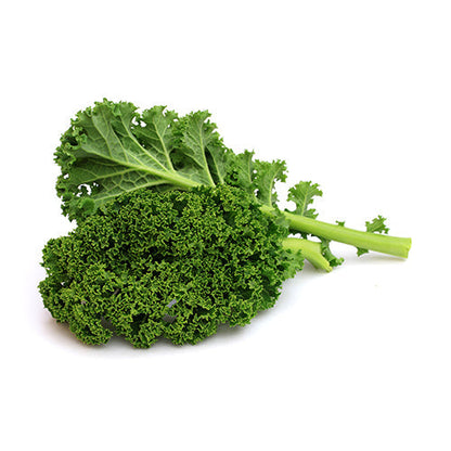 Wholesale Dix Farms Organic Kale- Bulk