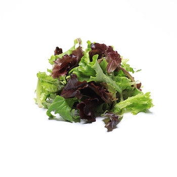 Wholesale Dix Farms Organic Mesclun Spring Mix 3lb- Bulk