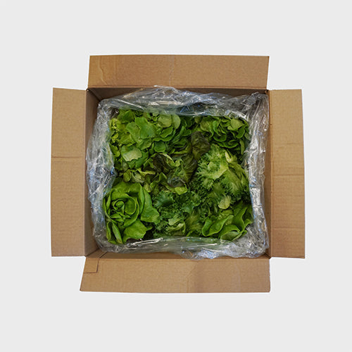 Wholesale Gotham Greens Gourmet Spring Mix Lettuce 2.5lb- Bulk