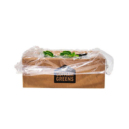Wholesale Gotham Greens Gourmet Spring Mix Lettuce 2.5lb- Bulk