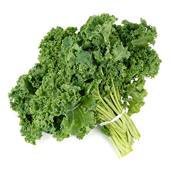 Wholesale Dix Farms Bunched Curly Kale Greens- Bulk