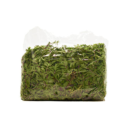 Wholesale Dix Farms Fresh Herbs Oregano 1lb- Bulk
