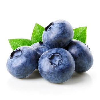 Wholesale BoxNCase Blueberries 6oz- Bulk