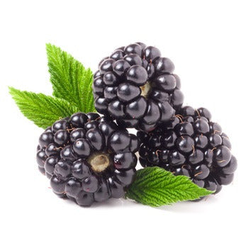 Wholesale BoxNCase Blackberries 6oz- Bulk