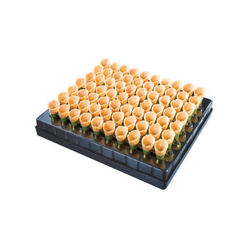 Wholesale La Rose Noire Mini Vanilla Cone Coated 2.56"- Bulk