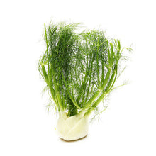Wholesale Dix Farms Anise Fennel- Bulk