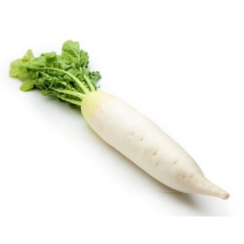 Wholesale Dix Farms Daikon Radish 5lb- Bulk