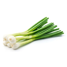 Wholesale Dix Farms Fresh Onion Spring Wild White 1lb- Bulk