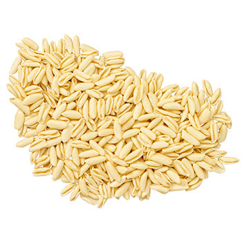 Wholesale Lilly's Fresh Pasta Fresh-Frozen Cavatelli Vegan Pasta 3lb- Bulk