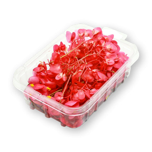 Wholesale Flavour Fields Apple Blossoms- Bulk