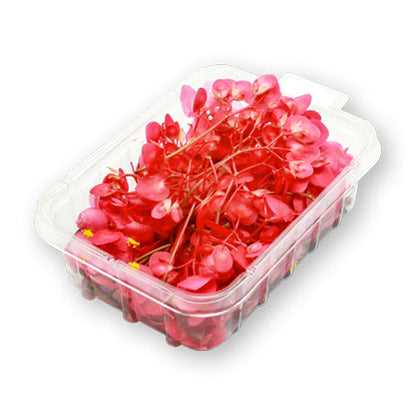 Wholesale Flavour Fields Apple Blossoms- Bulk