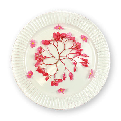 Wholesale Flavour Fields Apple Blossoms- Bulk