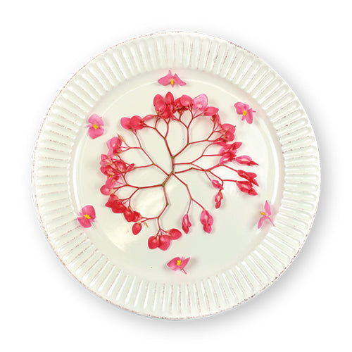 Wholesale Flavour Fields Apple Blossoms- Bulk