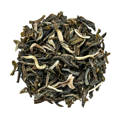 Wholesale Tea Forte Jasmine Green Tea- Bulk