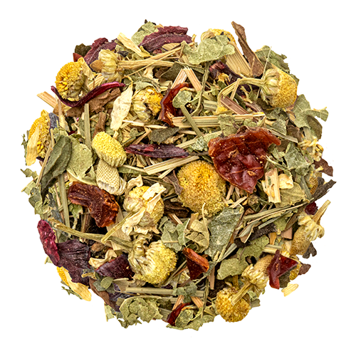Wholesale Tea Forte Chamomile Citron Tea- Bulk
