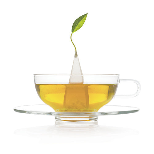 Wholesale Tea Forte Sencha Tea- Bulk