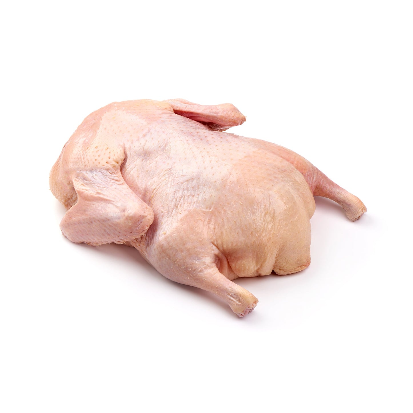 Wholesale Jurgielewicz Duck Whole 6.5lb Bay Brand 6.5lb- Bulk