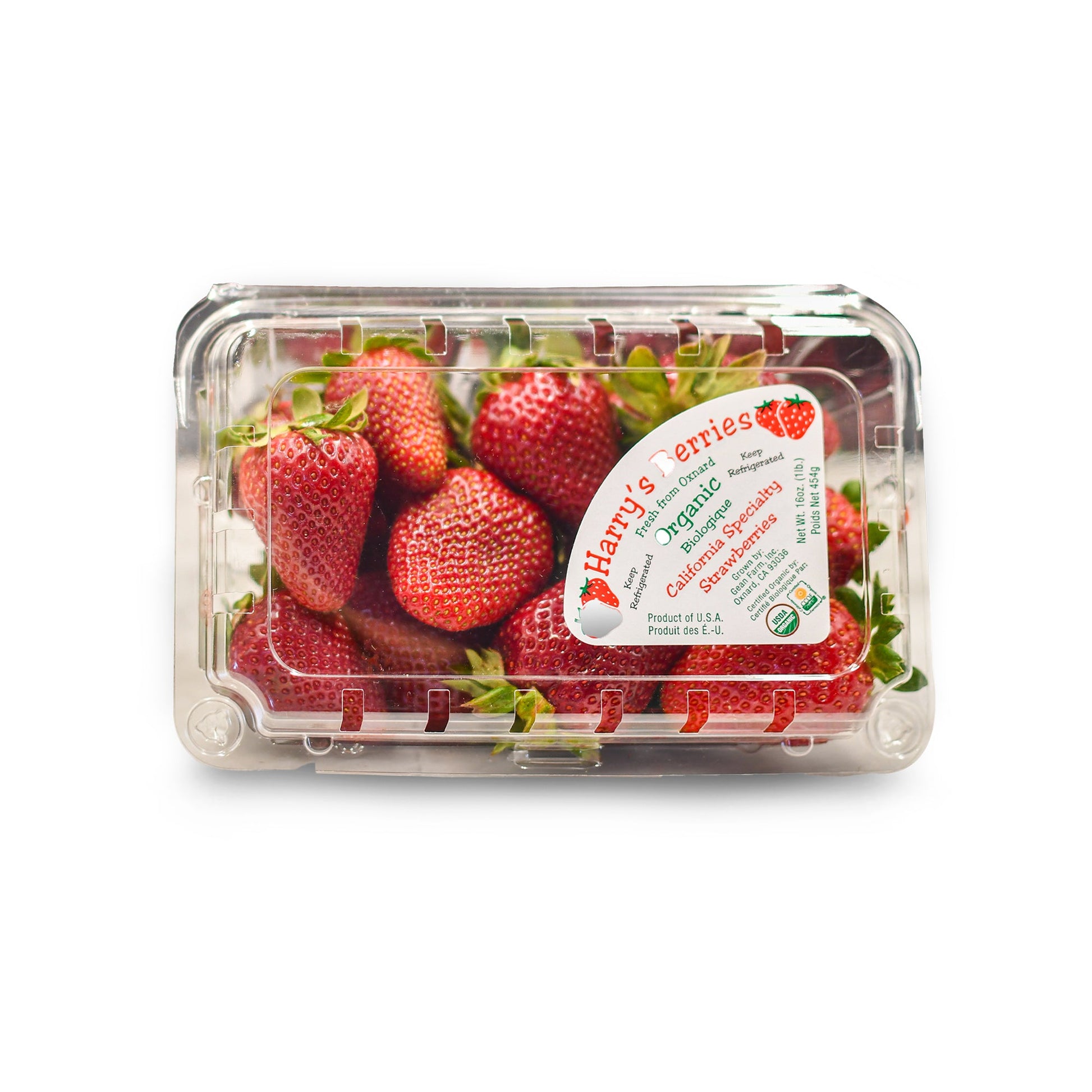 Wholesale Harry's Berries Strawberries 1lb- Bulk
