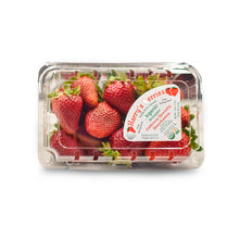 Wholesale Harry's Berries Strawberries 1lb- Bulk