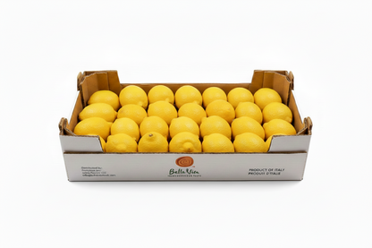 Wholesale Authentic Sorrento Lemons from Italy – Flown Fresh from the Amalfi Coast 16-18 CT | BoxNCase- Bulk