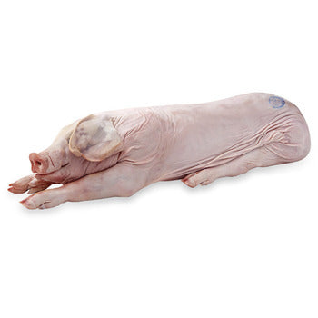 Wholesale Mosner Pig 30-40lbs- Bulk
