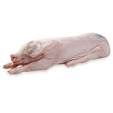 Wholesale Mosner Pig 30-40lbs- Bulk