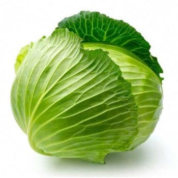 Wholesale Dix Farms Green Cabbage- Bulk