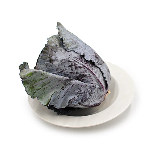 Wholesale Dix Farms Red Cabbage- Bulk