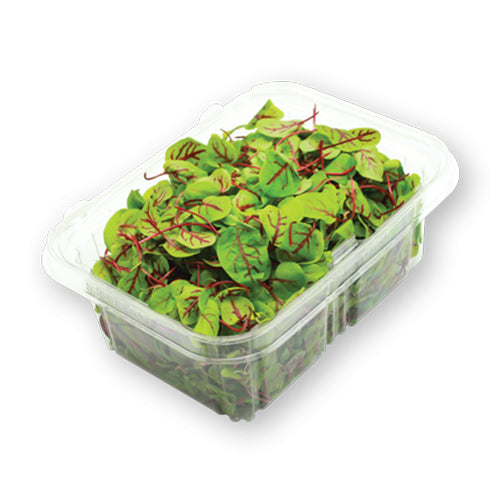 Wholesale Flavour Fields Micro Red Veined Sorrel 6oz- Bulk