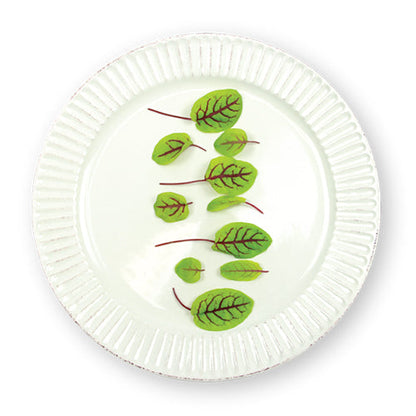 Wholesale Flavour Fields Micro Red Veined Sorrel 6oz- Bulk