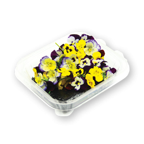 Wholesale Flavour Fields Cornabria Blossom- Bulk