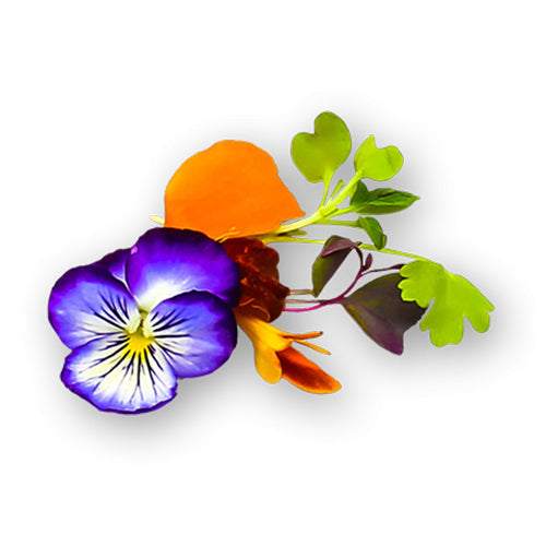 Wholesale Flavour Fields Micro Celebration Mix 3oz- Bulk