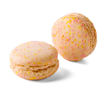Wholesale Muttenberg American Classic Collection Macarons- Bulk