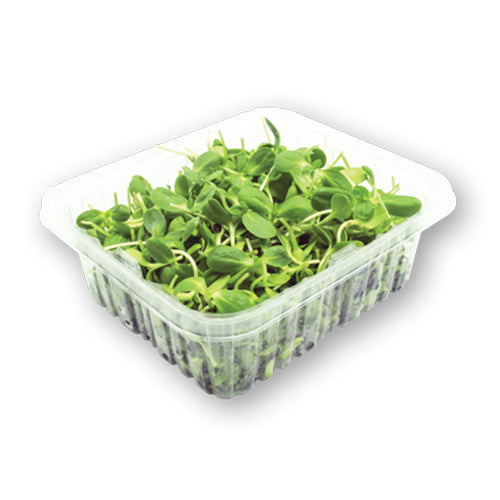 Wholesale Flavour Fields Micro Sunflower Sprouts 4oz- Bulk