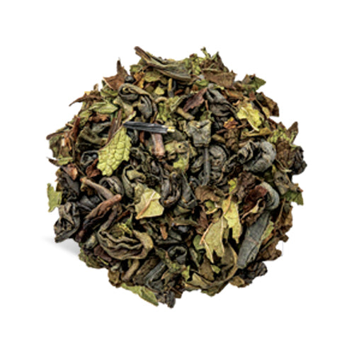 Wholesale Tea Forte Moroccan Mint Tea- Bulk