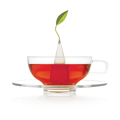 Wholesale Tea Forte Blueberry Merlot Tea- Bulk