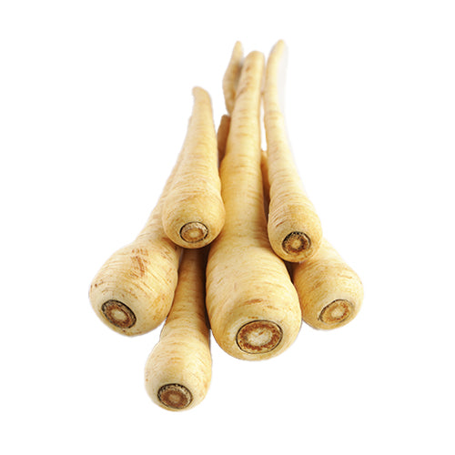 Wholesale Dix Farms Parsnips 1lb- Bulk