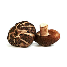 Wholesale Dix Farms Organic Xl Shiitake Mushrooms 3lb- Bulk