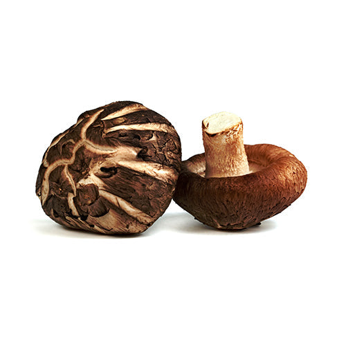 Wholesale Dix Farms Organic Shiitake Mushrooms 3lb- Bulk