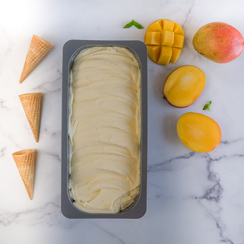 Wholesale Gelato Festival Sorbet Mango- Bulk