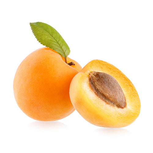 Wholesale Frog Hollow Farm Apricots 10lb- Bulk