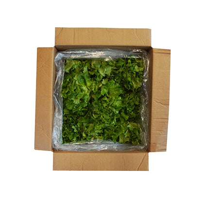 Wholesale Gotham Greens Local Greenhouse Crunch Lettuce 2.5lb- Bulk