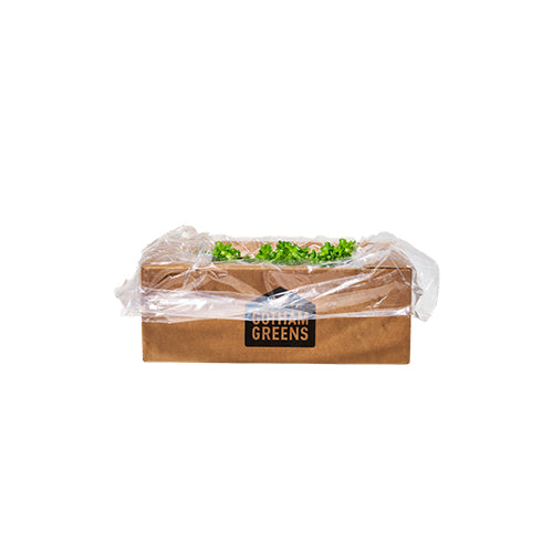 Wholesale Gotham Greens Local Greenhouse Crunch Lettuce 2.5lb- Bulk