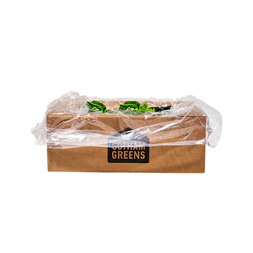 Wholesale Gotham Greens Butterhead Lettuce 2.5lb- Bulk