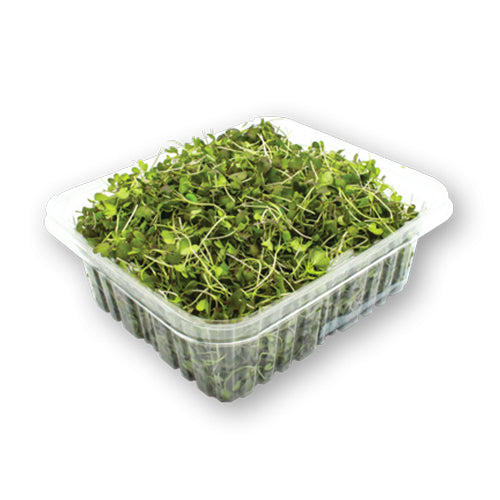 Wholesale Flavour Fields Mustard Red Micro Greens 4oz- Bulk