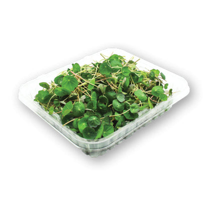 Wholesale Flavour Fields Nasturtium Micro Greens 4oz- Bulk