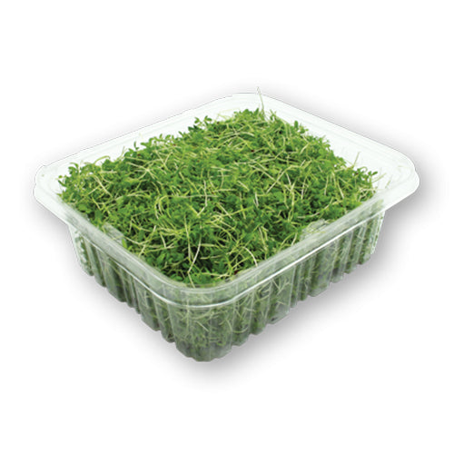Wholesale Flavour Fields Micro Greens Pepper Cress 4oz- Bulk
